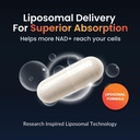 forestleaf-nad-resveratrol-capsules-lipo-2.jpg