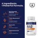 circle-of-nature-nad-supplement-nicotina-3.jpg