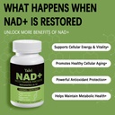nad-resveratrol-supplement-1500mg-120-ve-3.jpg