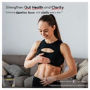 formulation-factory-gut-intellect-10-in--5.jpg