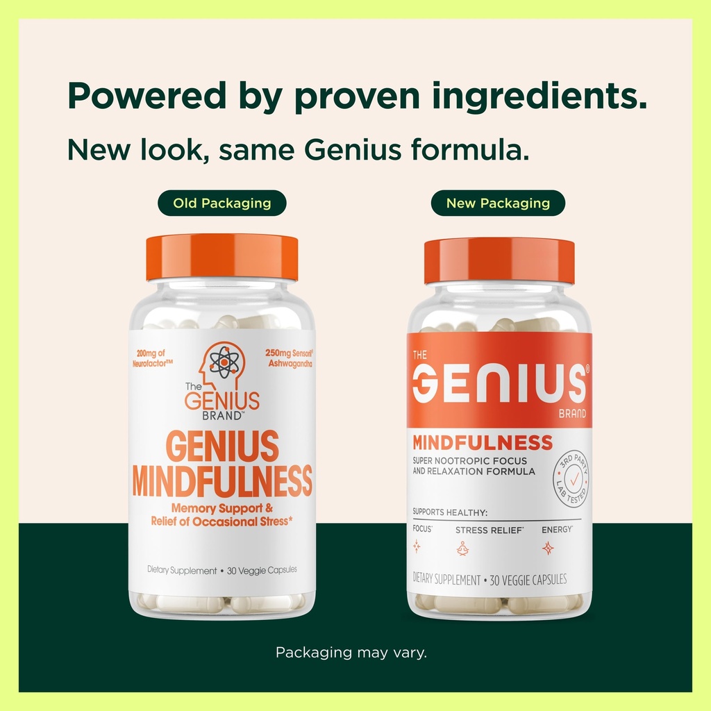 the-genius-brand-genius-mindfulness-brai-4.jpg
