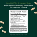 the-genius-brand-genius-mindfulness-brai-2.jpg