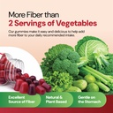 yum-v-s-prebiotic-fiber-gummies-for-adul-6.jpg