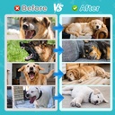 2pack-liquid-melatonin-for-dogs-dog-slee-4.jpg