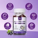 60-gummies-sambucus-elderberry-gummies-i-6.jpg