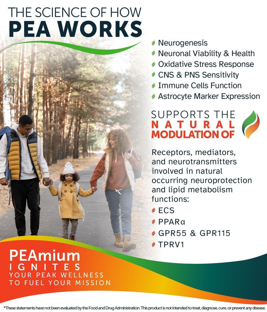 palmitoylethanolamide-500mg-comfort-mobi-5.jpg