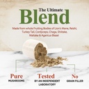 mushroom-powder-supplement-11-in-1-blend-6.jpg
