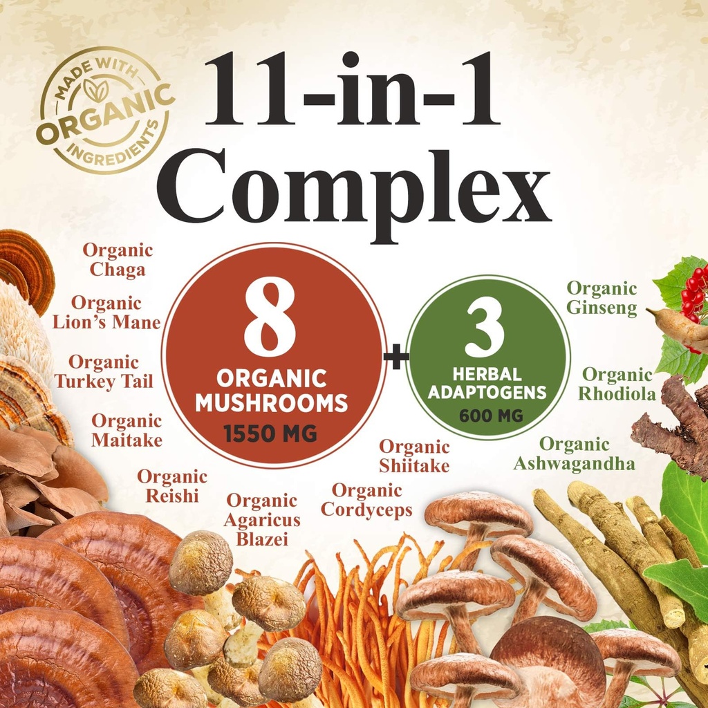 mushroom-powder-supplement-11-in-1-blend-3.jpg