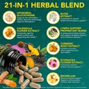 lymphatic-drainage-supplements-lymphatic-3.jpg