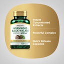 piping-rock-wormwood-black-walnut-capsul-4.jpg