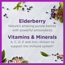zarbee-s-elderberry-gummies-for-kids-wit-2.jpg