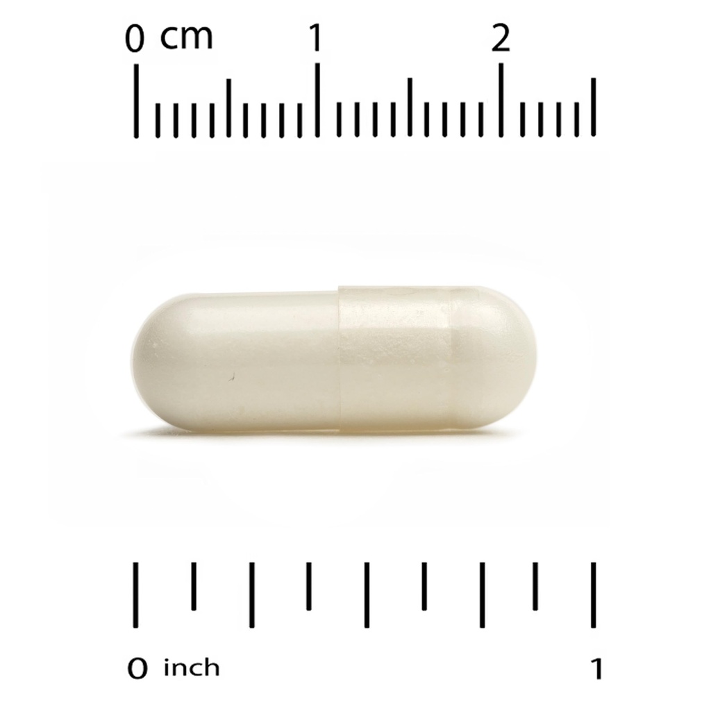 california-gold-nutrition-mastic-gum-500-3.jpg