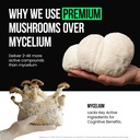 vitaraw-lions-mane-mushroom-capsules-zin-6.jpg