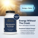 rooted-miltivitamin-with-brain-supplemen-2.jpg