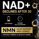 nmn-supplement-500mg-99-pure-nicotinamid-3.jpg
