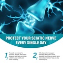 sciatic-nerve-neuropathy-support-nerve-s-5.jpg