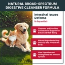 maxbuddy-natural-intestinal-defense-herb-2.jpg