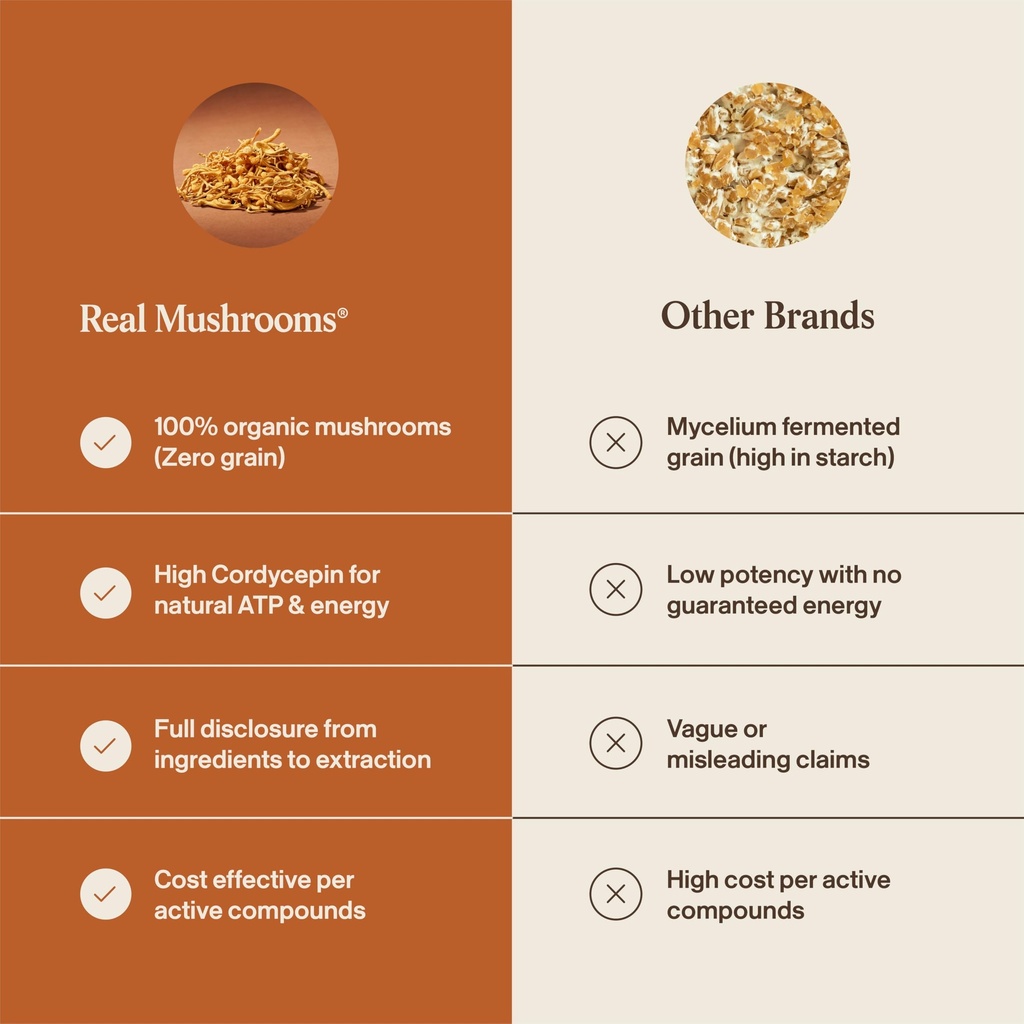 real-mushrooms-cordyceps-mushroom-powder-6.jpg