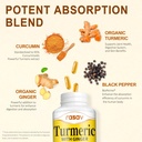 rasav-turmeric-curcumin-supplement-95-cu-4.jpg