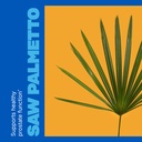 swisse-saw-palmetto-prostate-supplement--4.jpg