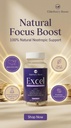 elderberry-boost-excel-all-natural-brain-2.jpg