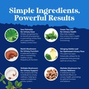 herbal-prostate-supplement-for-men-poten-6.jpg
