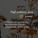 naomi-turmeric-curcumin-high-potency-120-3.jpg