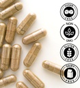 true-cinnamon-supplement-sri-lanka-organ-4.jpg