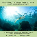 omega-d3-concentrated-epa-dha-astaxanthi-4.jpg
