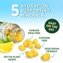 hydration-electrolyte-gummies-daily-liqu-6.jpg