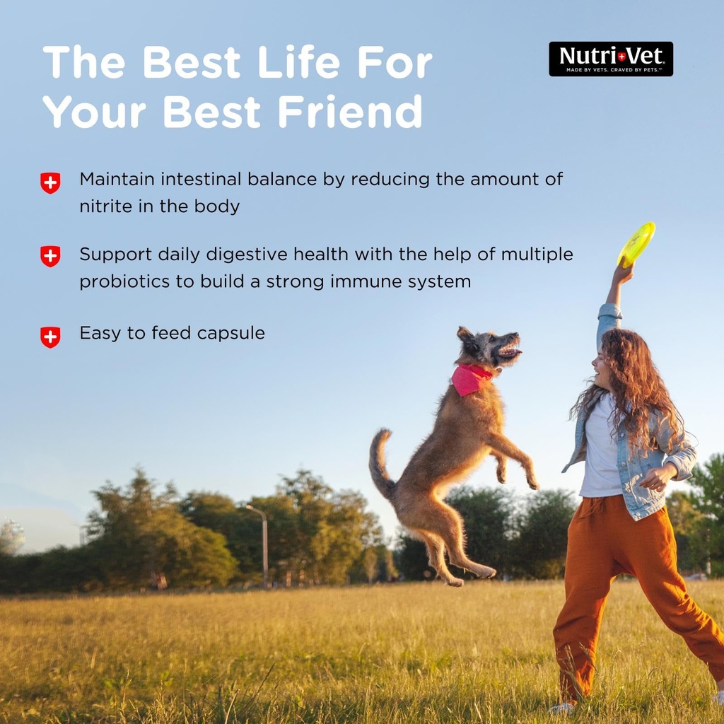 nutri-vet-probiotics-for-dogs-dog-probio-4.jpg