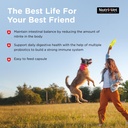nutri-vet-probiotics-for-dogs-dog-probio-4.jpg