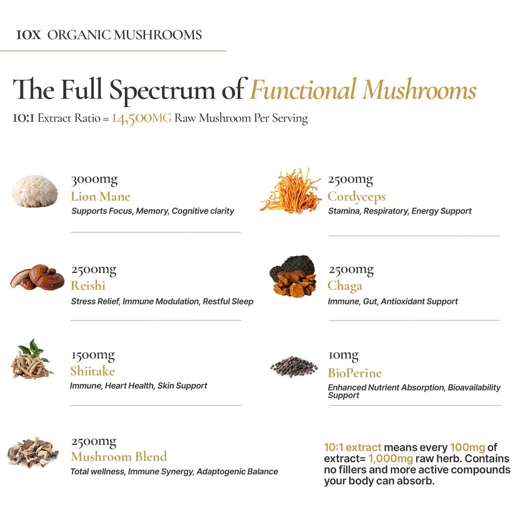 neuroroot-organic-mushroom-supplement-li-4.jpg
