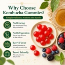 probiotic-kombucha-gummies-prebiotics-pr-6.jpg