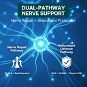 neuropathy-support-nerve-supplement-adva-4.jpg