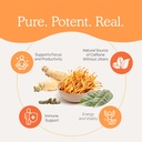 real-mushrooms-realboost-capsules-cordyc-5.jpg