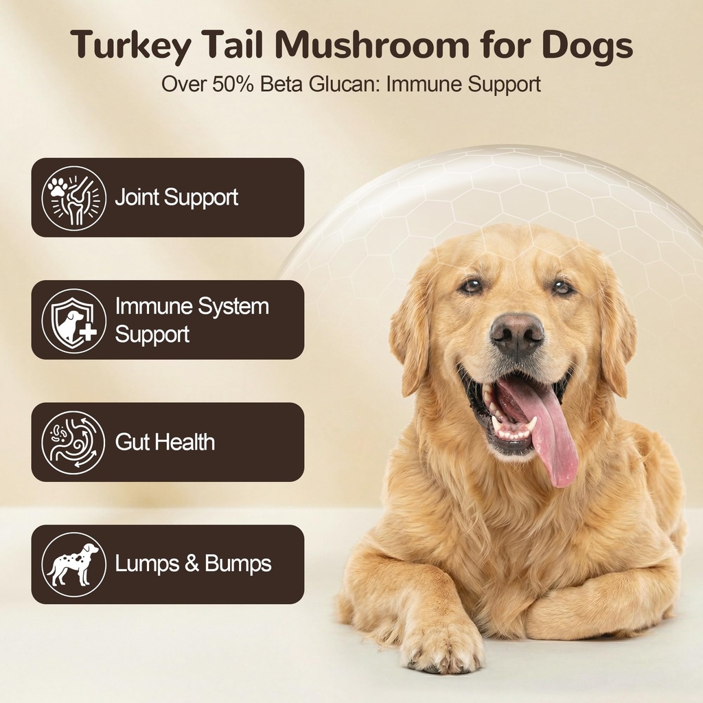 organic-turkey-tail-mushroom-for-large-d-2.jpg