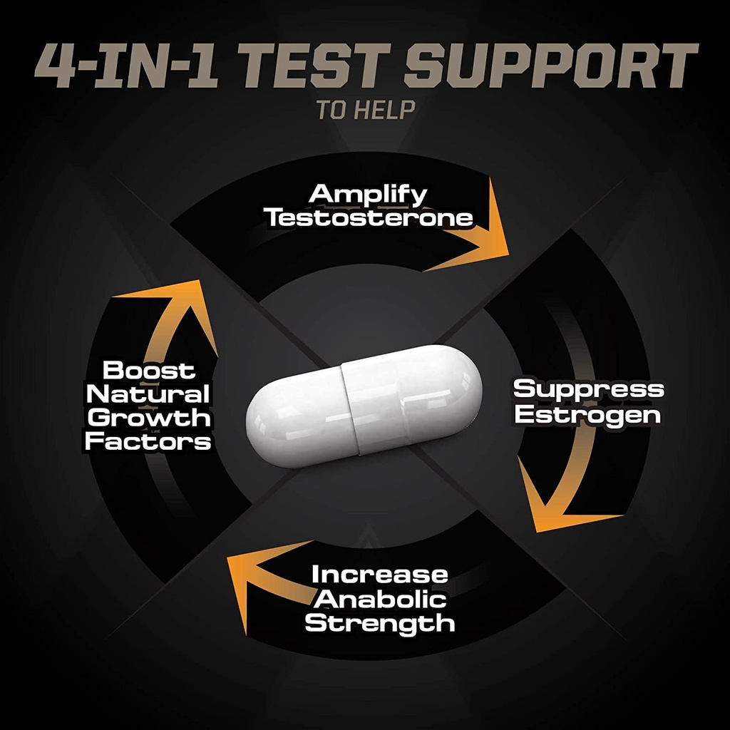 pmd-methyl-andro-hardcore-support-testos-3.jpg