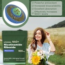 liposomal-nad-with-nad-nicotinamide-ribo-5.jpg
