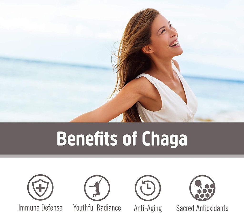 om-mushroom-superfood-chaga-organic-mush-3.jpg