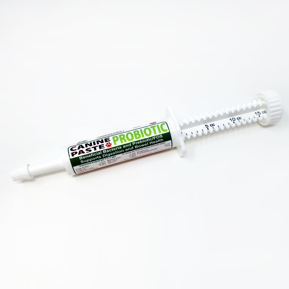 Dogzymes Pasji probiotik Paste Beneficial Bakteria-Enzyme 2.3 milijarda CFU/gm Saccharomyces boulardii Organsko posušen med v prahu (15 Gram)