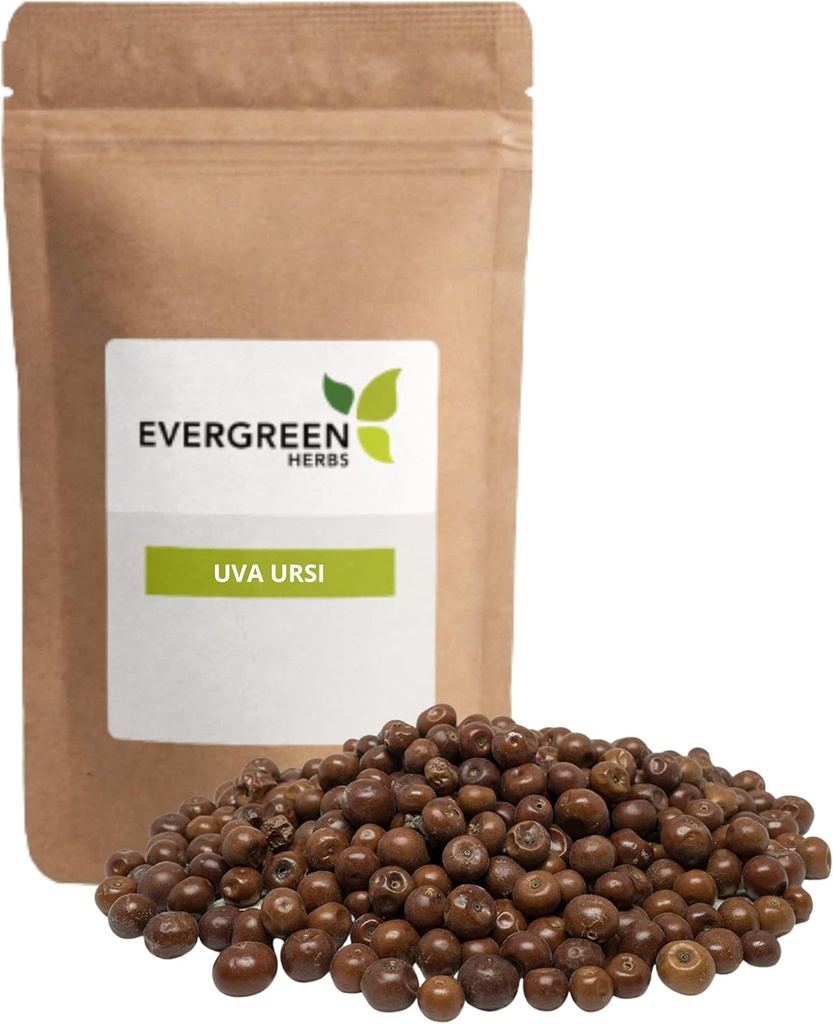 Evergreen Zelišča Pinguica Fruto - Uva Ursi Sad (8 oz.) - Reseable Stand Up Pouch zagotoviti svežino!