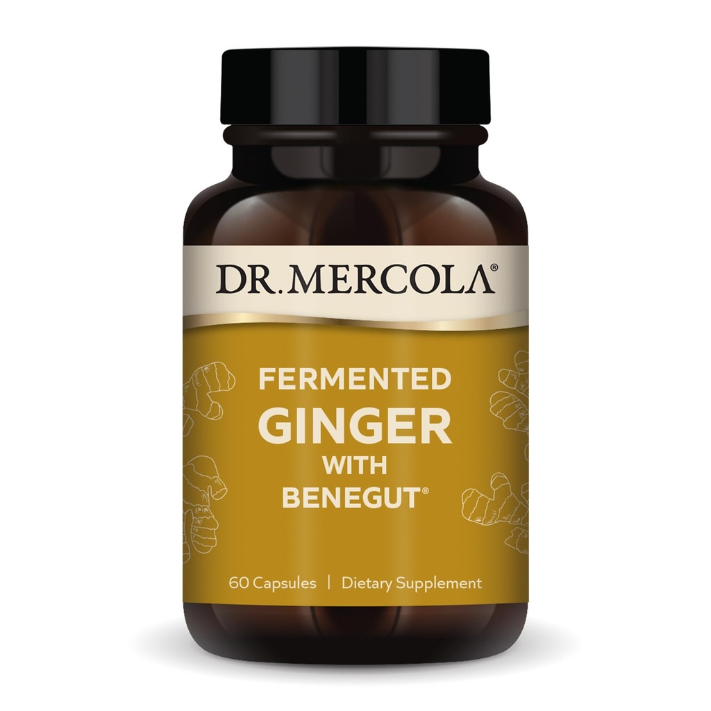 Dr. Mercola Fermented Ginger z Benegut - Podpira Prebavne in Gut Zdravje - Aids Occasional Gas, Napenjanje in nelagodje - Non-GMO, Gluten-free & Soy-free - 60 kapsul (60 strežb)