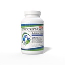 Prebiotiki in probiotiki za digestivno in imuno zdravje z Pea Protein Advanced - na rastlinah osnovanih 28 sevi tal mikroflora - Vegan, podpira okrevanje mišic in črevesno zdravje, 60 kapsule s pomočjo recepta