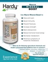 Macro Mineral Boost - Visoka intenzivnost Kalcij dopolnilo za zdravje kosti in zob z vitaminom C, D, K, kalcij, fosfor in magnezij, Ultra Absorbable
