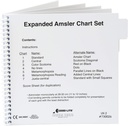 Amsler Grid Chart, razširjena