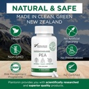 Palmitoiletanolamid Pea dodatek 600mg - Mikronized Pea dopolnila 99% - 2 Meseca dobave - Napredna naravna podpora za skupno udobje