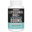 Liposomna NAD+ 800 mg s transresveratrolom 300 mg, največjo absorpcijo, dejansko NAD+ Povečanje dopolnilo za zdravo staranje, celično energijo, DNA popravila, dolgoživost - 60 softgels