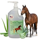 Doc Hoagov Aloe Vera+Agave Premium Horse Supplement – Made in USA – Original Udder Balm – Naravna gastrična podpora za konje in velike živali – Stress Relief & Ulcer Care, 128 Fl Oz.