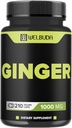1000mg ingver dopolnila kapsule z Berberine HCl, Bezgove jagode, Echinacea & More - 11in1 Podpora Prebava, Skupno zdravje, Imunski sistem, in zdravje srca - 210 Ginger tablete